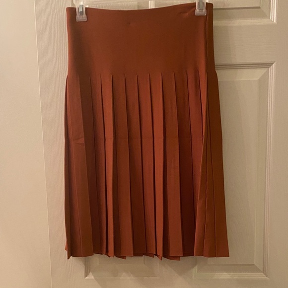 Aleeza Paris Dresses & Skirts - Aleeza Paris Chic Rust A-Line Skirt